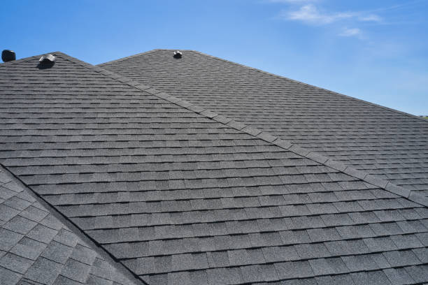 Best Chimney Flashing Repair  in Bradenton, FL